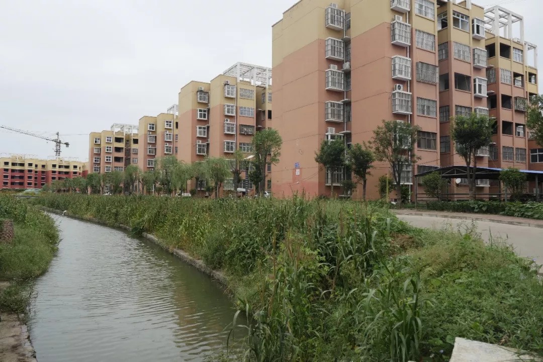 高庄|石龙区|平顶山市_新浪新闻