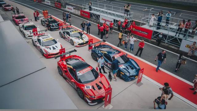 跃马拥趸的狂欢盛典