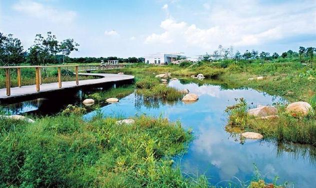 安徽这个城市因抖音而成为网红城市,确实是一