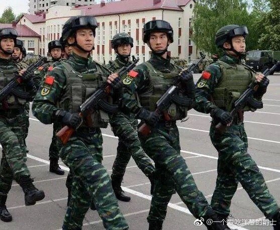 解读:武警部队中8个兵种,你知道哪几个?大部分