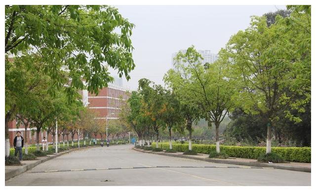 高考:2018年高考四川理科生557分能报成都理