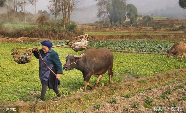 好消息!国家将对九种疾病免费治疗