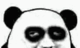 当你常用的表情包动起来之后, 它就变得更加丧心病狂了!
