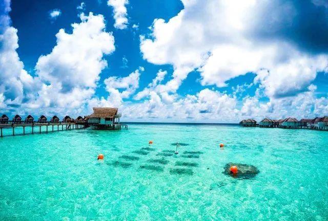 记得的抖音上点赞1000W+滑滑梯酒店吗?现在