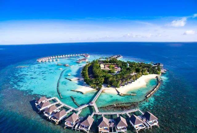 记得的抖音上点赞1000W+滑滑梯酒店吗?现在