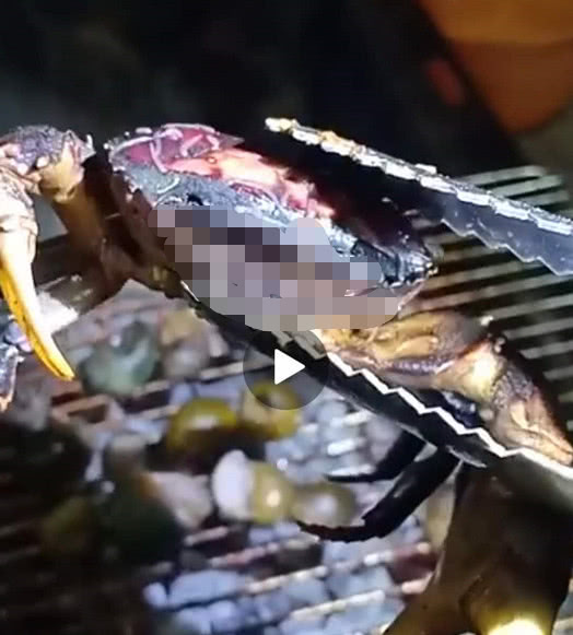 为什么螃蟹一定要蒸够20分钟?一张图片告诉你