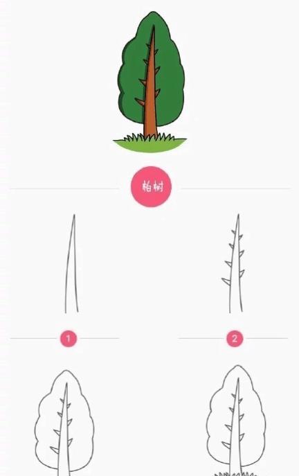 柏树、果树、松树、杨树简笔画,喜欢的妈妈们赶紧收起来吧!