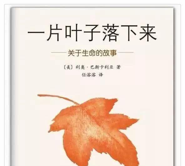 美国从幼儿园就开始的死亡教育，我们可以这样给孩子讲……
