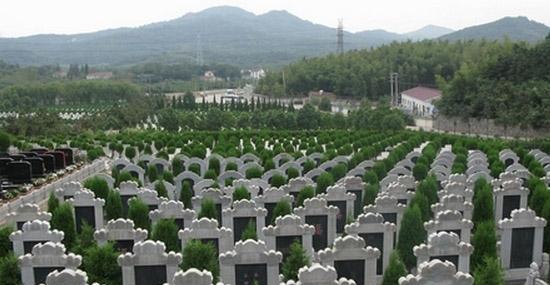 墓地20年使用年限,第一批要续费了