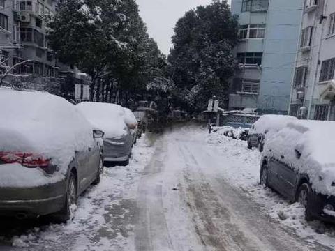 南的京一场暴雪,让我分外想念它……（特约）!