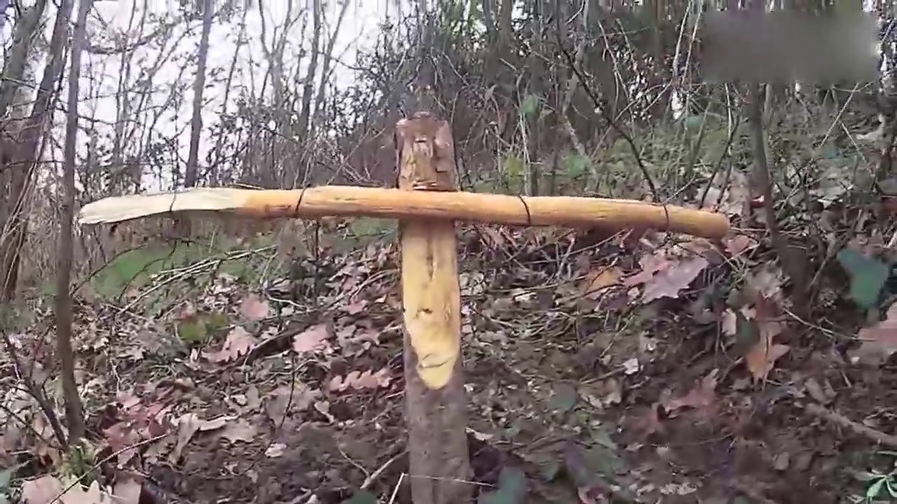 实拍双套捕猎陷阱