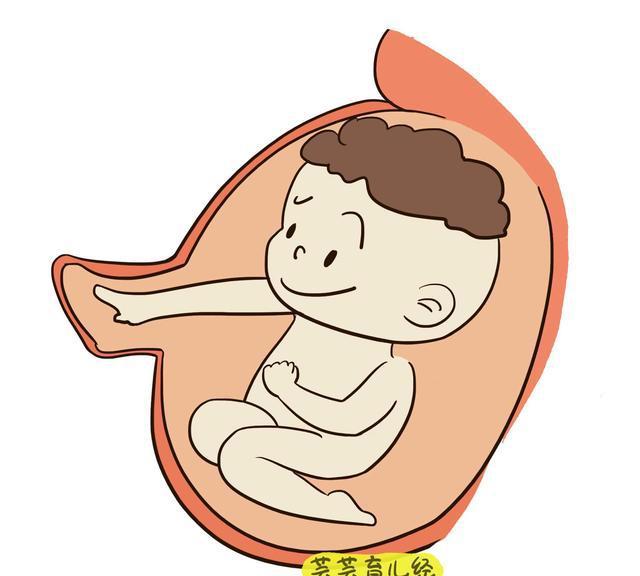 胎动原来是胎儿在和妈妈"说话 你了解多少?