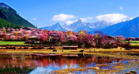 3月去林芝看桃花，自驾的你先跟我来看看林芝的路况如何