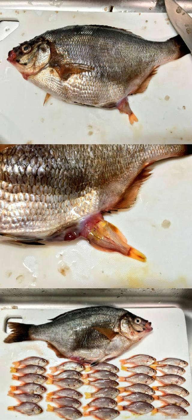 这回的卸车的速度破了最快记录了,搞笑趣图!