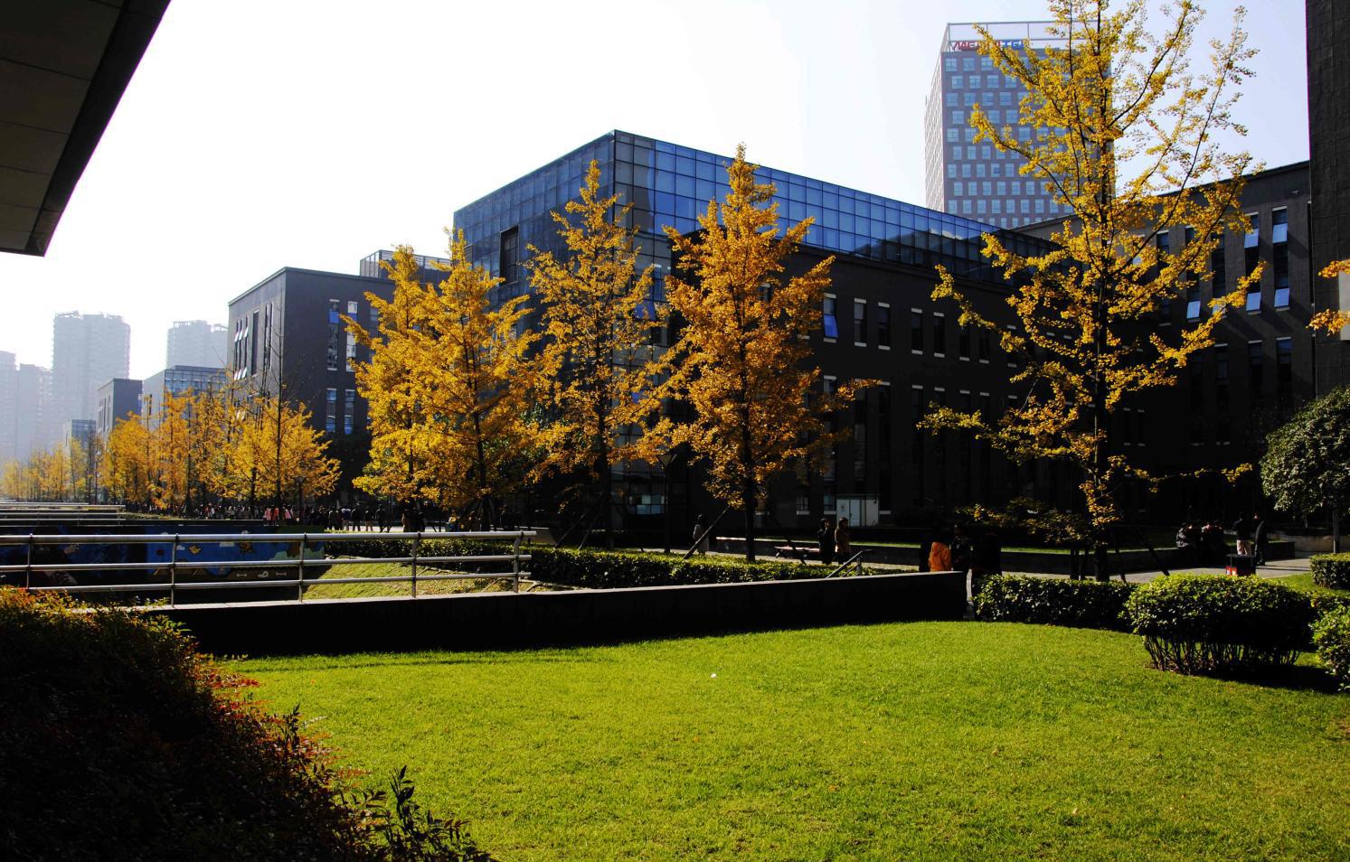 午休时, 我和美女上司变成两只小蜜蜂, 坐在蔷薇