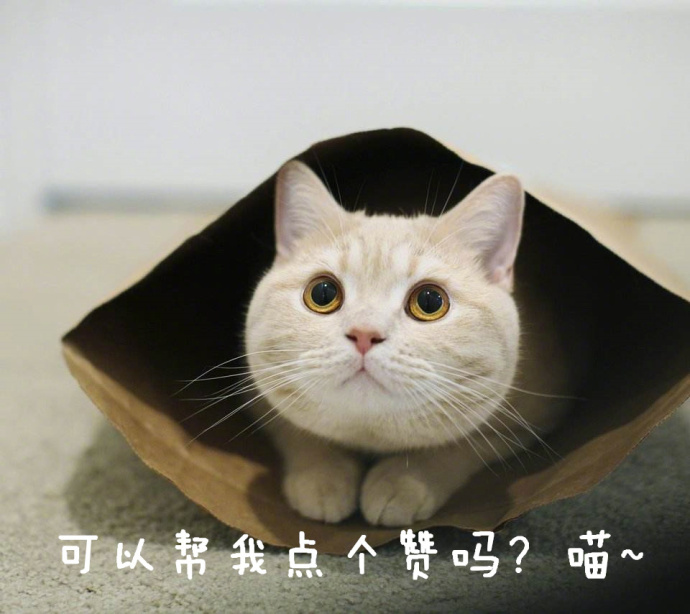 有些时候也许表面上看起来风平浪静,其实内心