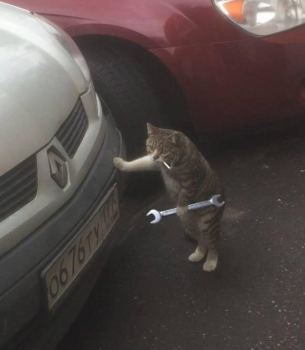 这位汽车修理员不好惹啊,叼烟拿扳手架势十足