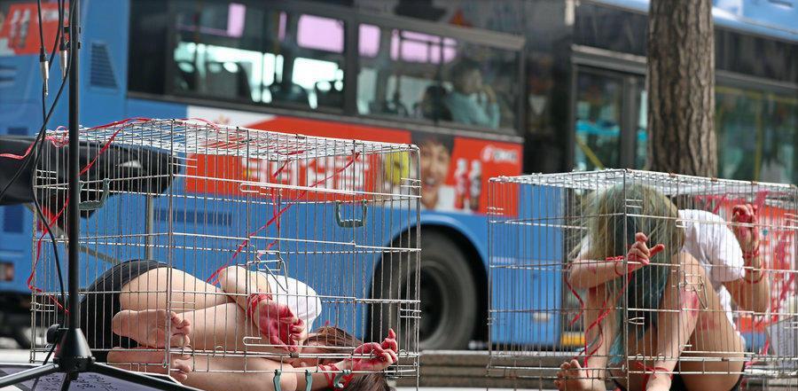 韩国首尔街头惊现数位被囚禁少女, 像动物一样装在笼子里供人欣赏