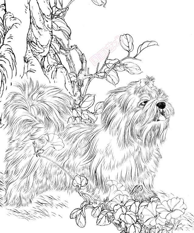 名犬白描画稿欣赏,可爱!