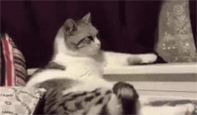 这可不是每个妹子都有的这技能哦!