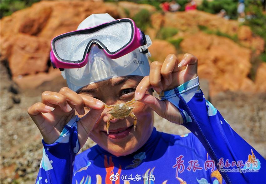 青岛市民一浴体验赶海乐 随浪捉面条鱼徒手摸蛤蜊