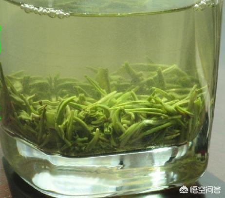 信阳毛尖茶汤为什么是浑浊的？
