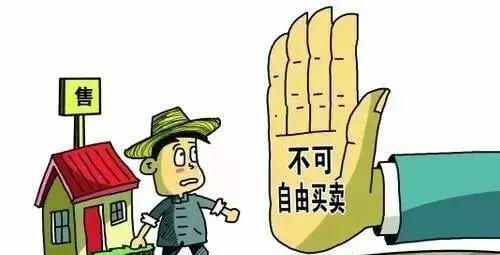 父母是农村户口, 父亲过世了以后宅基地如何继