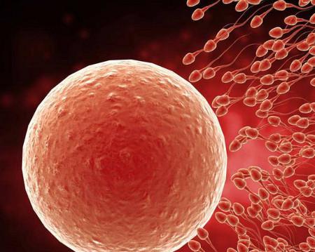 卵子质量不好是什么原因?该怎么调理