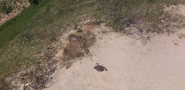 名留千古的民族英雄, 墓碑却长满杂草, 被人涂鸦, 周边尽是大小便