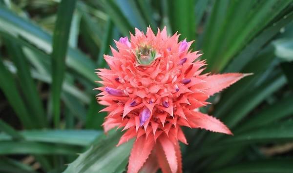 在中国大陆最南端藏着一个“夏天版的北海道”，海鲜吃到饱