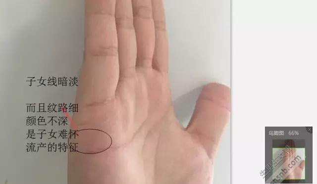 据说看手相可以辨别生男生女, 试一试吧!