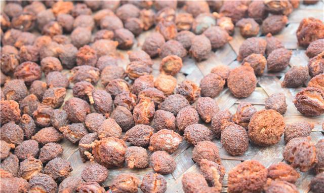 谁说杨梅掉地上没人要, 把它制成杨梅干亲戚们