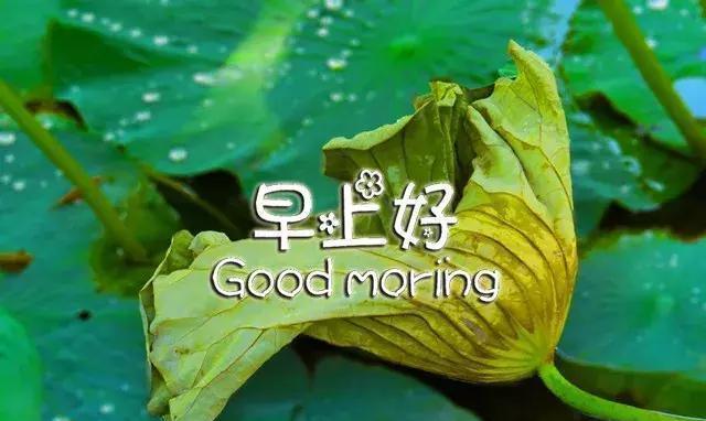 早上好,美好的一天开始了,微笑生活,愿你好心情!