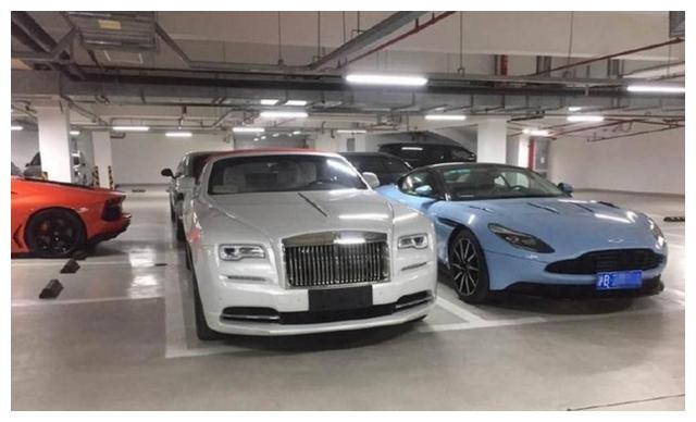 比上海发哥有钱!和王思聪不相上下,养条狗都300万起,豪车亮了