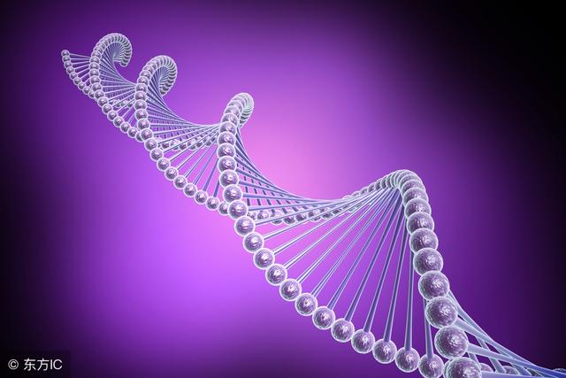 宝妈亲历香港验血测胎儿性别