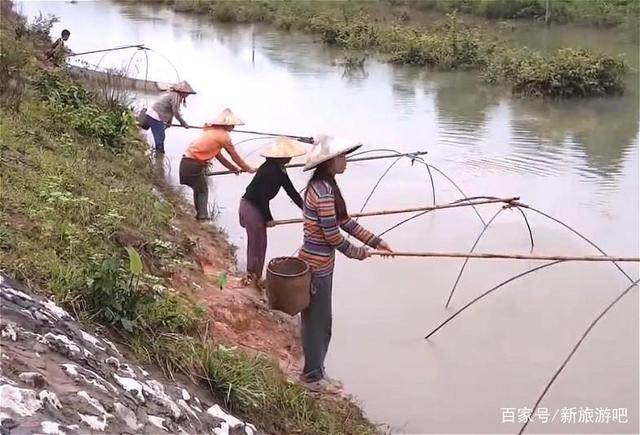 实拍老挝女人捕鱼!这个方法很原始,看看是怎样