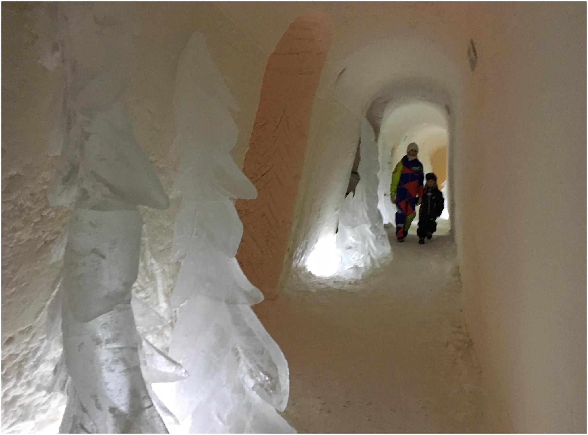 随遇而安的旅途:圣诞北欧行 北极雪屋