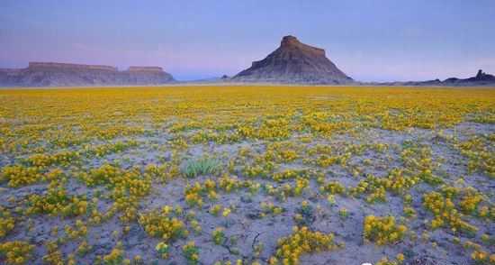 【满分作文】一生定要美丽一次