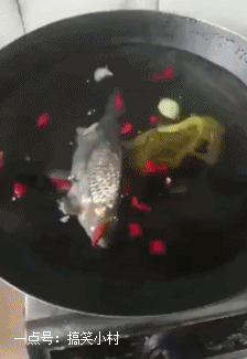 搞笑gif图女朋友说给我煮了酸菜鱼这特么也太新鲜了吧