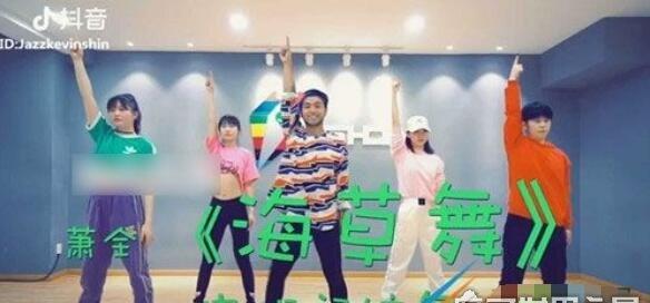 2018年抖音十大神曲,海草舞让你摇摆完全停不