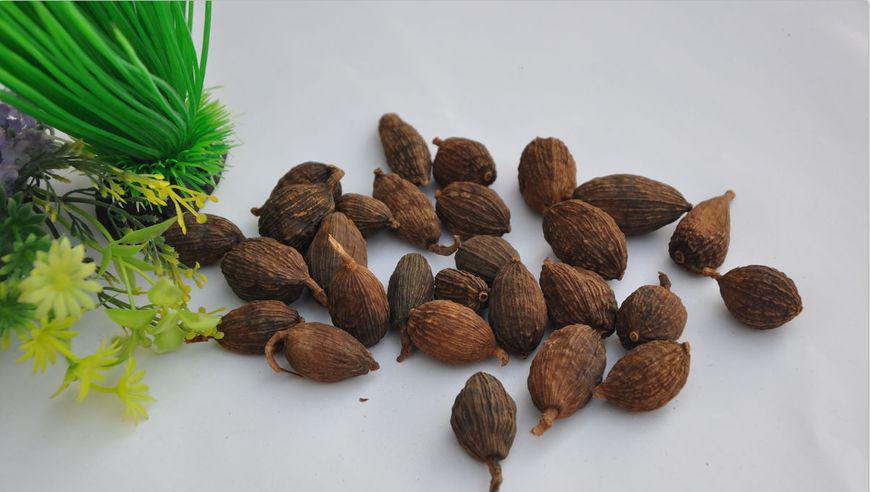 教你辨识草果和罂粟,别傻傻不知道,吃火锅又闹笑话!