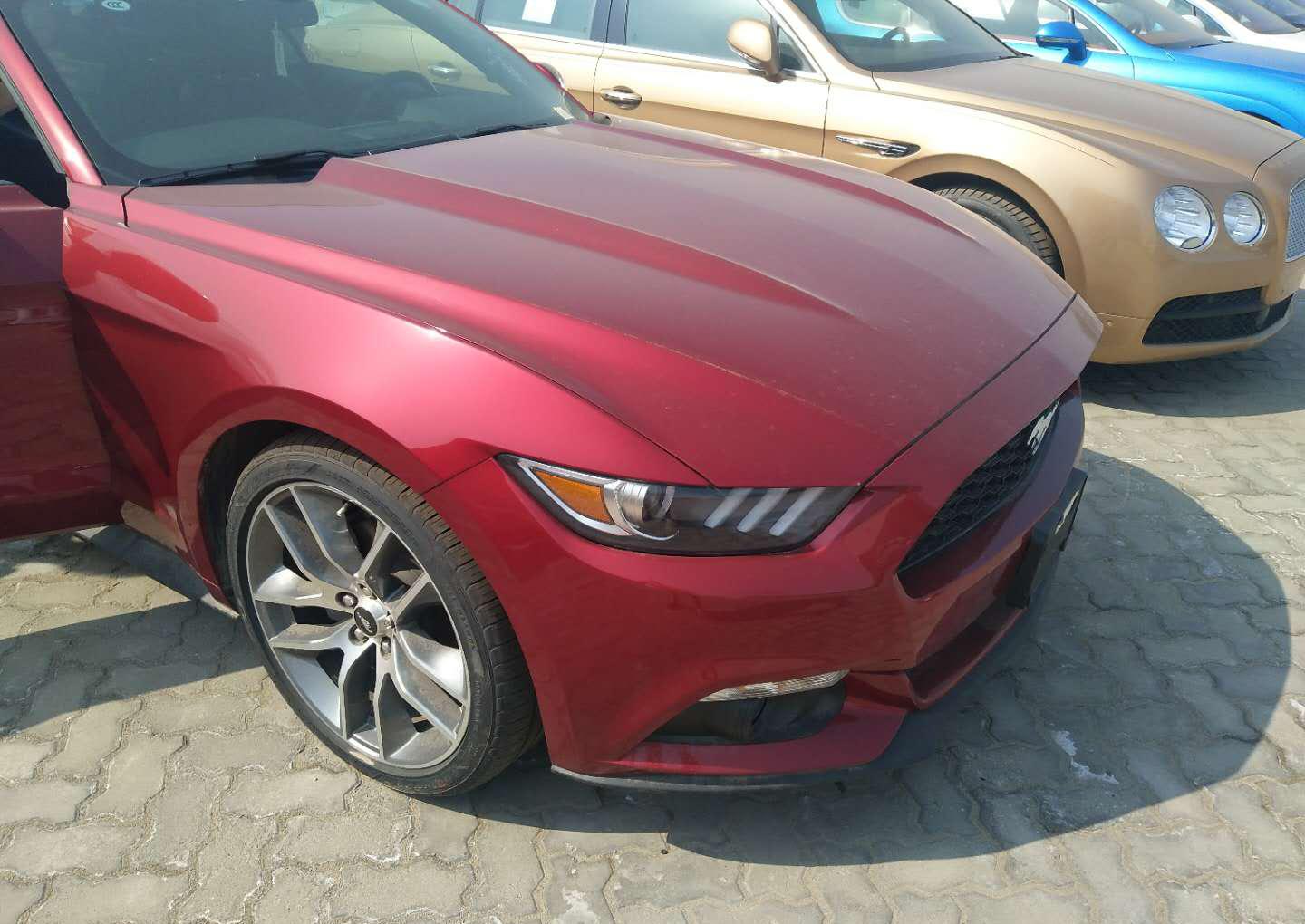 17款进口福特野马提速仅5秒 野马配置参数百公里油耗及分期首付