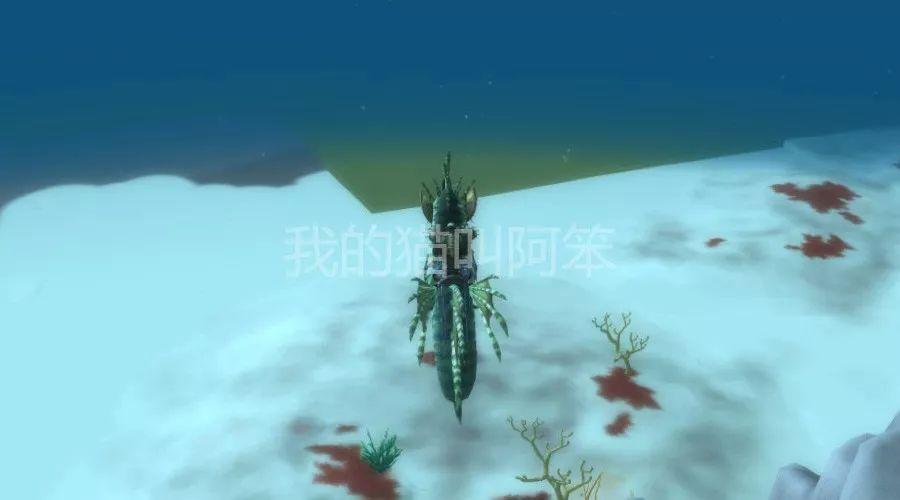 探索魔兽世界里地图和场景战役的边缘, 一些初