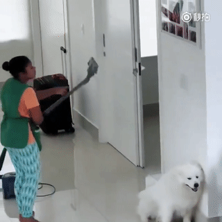 让保洁阿姨把家里上上下下吸一遍,萨摩:我做错什么了这样对我?