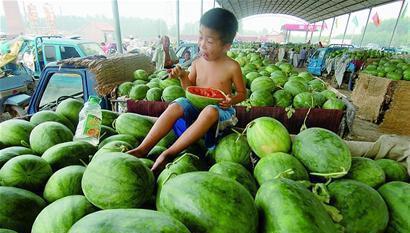 聊城莘县俎店乡,33 个村建村史、姓氏、村名由