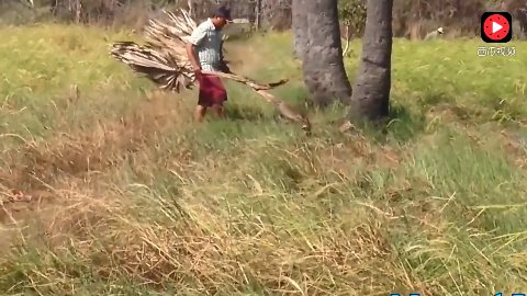 抖音快手刷评论能赚钱?全国上百人落陷阱:抖音