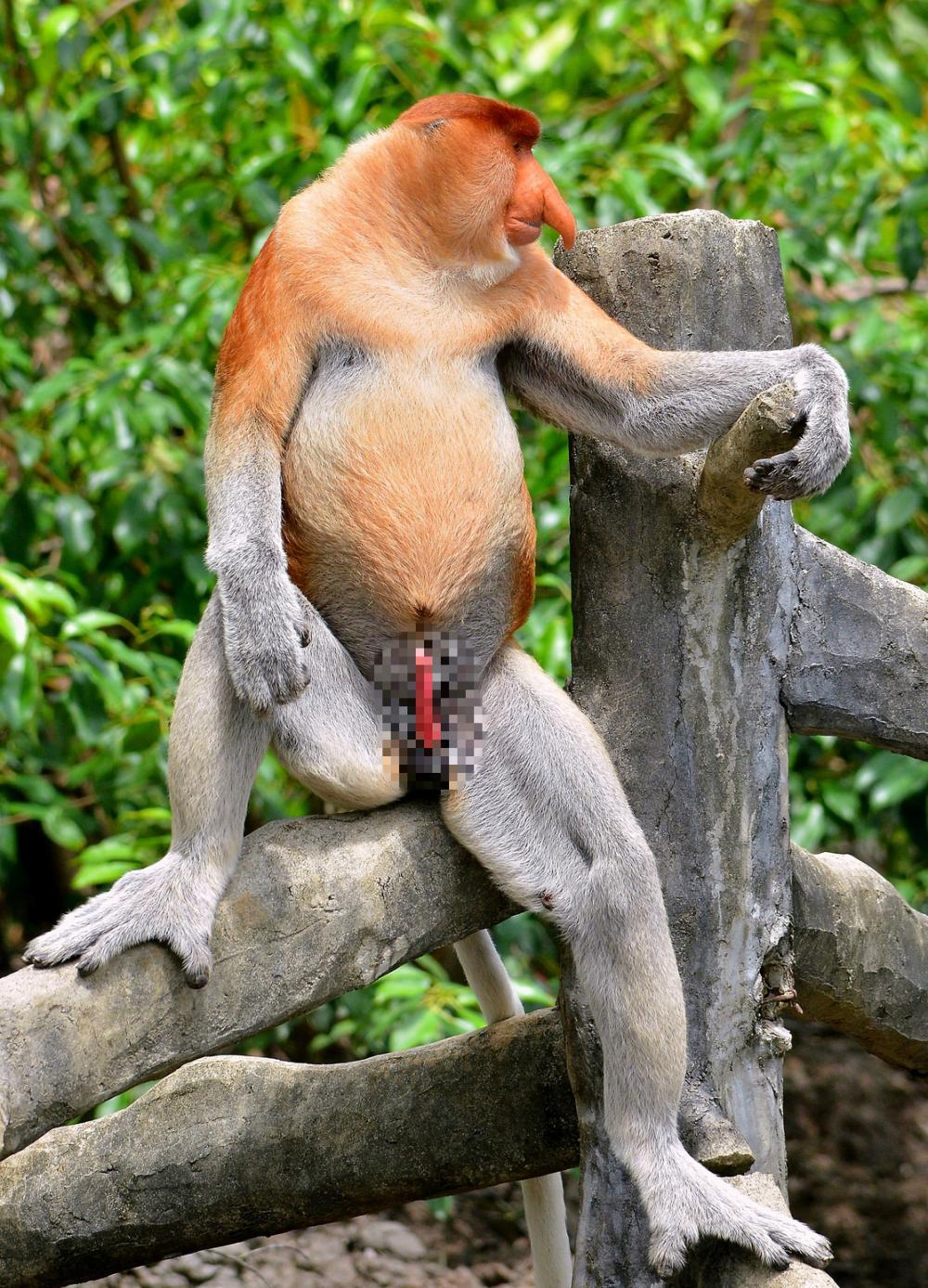 10 个又恶心又想看的动物冷知识, 看完我戒掉了香草