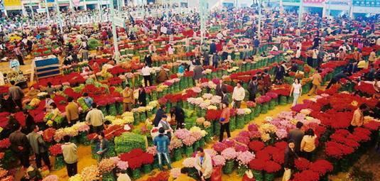 蓉昆高铁即将开建, 成都三小时到昆明!