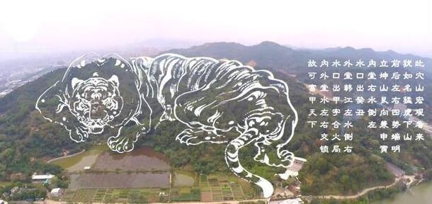 风水断坟术: 老死坟上草根少, 少亡坟上草软嫩