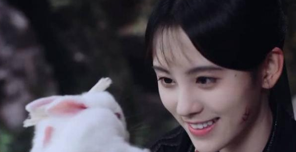 《芸汐传》里面萌宠有多有厉害,糖宝,胡巴和它